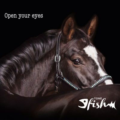 Tone Fish – Open your eyes (MP3)